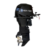 Двухтактный лодочный мотор SEA-TEC PNT 60  лс.