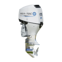 Четырёхтактный подвесной лодочный мотор SEA-TEC PNF 175 л.с.