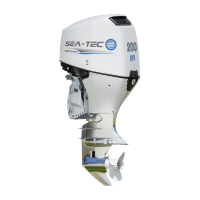 Четырёхтактный подвесной лодочный мотор SEA-TEC PNF 200 л.с.