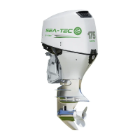 Электрический подвесной лодочный мотор SEA-TEC PNE 175 л.с