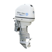 Дизельный подвесной лодочный мотор SEA-TEC PND  75 л.с.