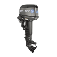 Двухтактный лодочный мотор SEA-TEC PNT мощностью 30 л.с.