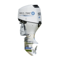 Четырёхтактный подвесной лодочный мотор SEA-TEC PNF 150 л.с.