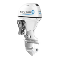 Четырёхтактный подвесной лодочный мотор SEA-TEC PNF 30 л.с