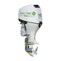 Электрический подвесной лодочный мотор SEA-TEC PNE 115 л.с