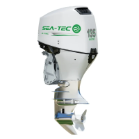 Электрический подвесной лодочный мотор SEA-TEC PNE 135 л.с