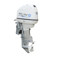 Дизельный подвесной лодочный мотор SEA-TEC PND 50 л.с.