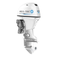 Четырёхтактный подвесной лодочный мотор SEA-TEC PNF 40 л.с.