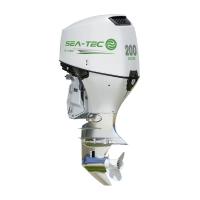 Электрический подвесной лодочный мотор SEA-TEC PNE 200 л.с