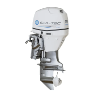 Четырёхтактный подвесной лодочный мотор SEA-TEC PNF 70 л.с.