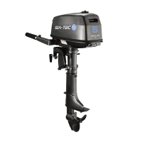 Подвесной двухтактный лодочный мотор SEA-TEC PNT 5 л.с.