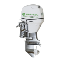 Электрический подвесной лодочный мотор SEA-TEC PNE 60 л.с
