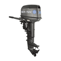 Подвесной двухтактный лодочный мотор SEA-TEC PNT 30 л.с. 